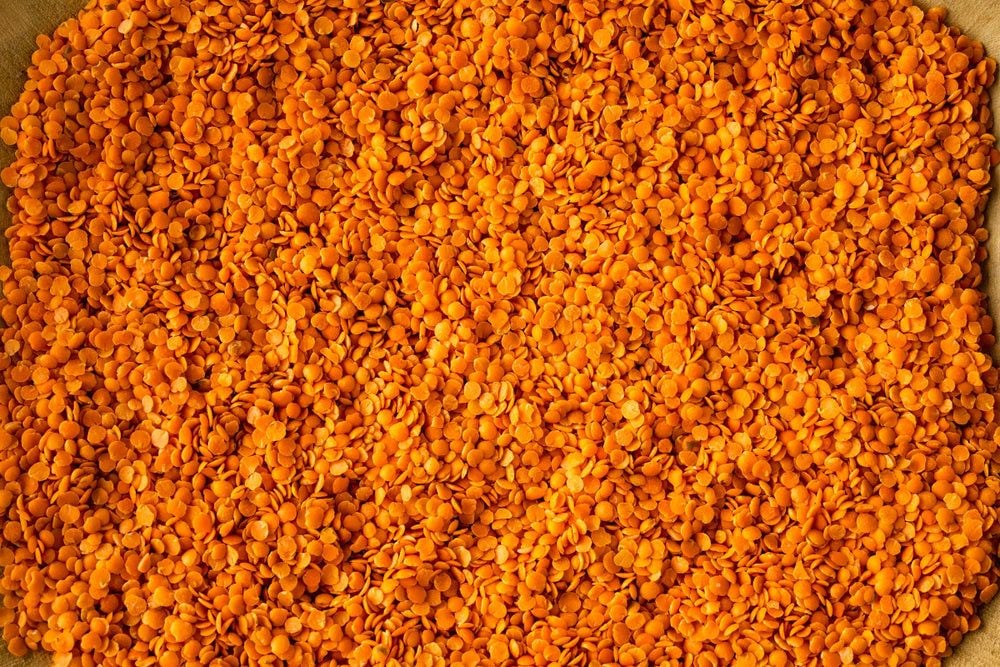 rancho gordo red lentils