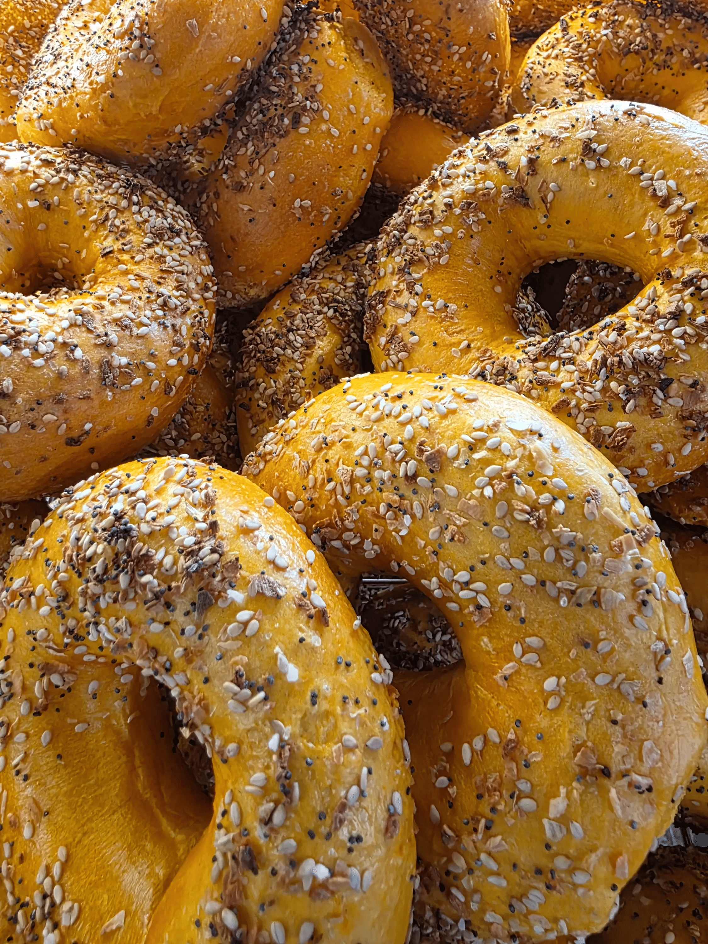 Great Barrington Bagel Company