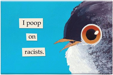 Poop on Racists Magnet