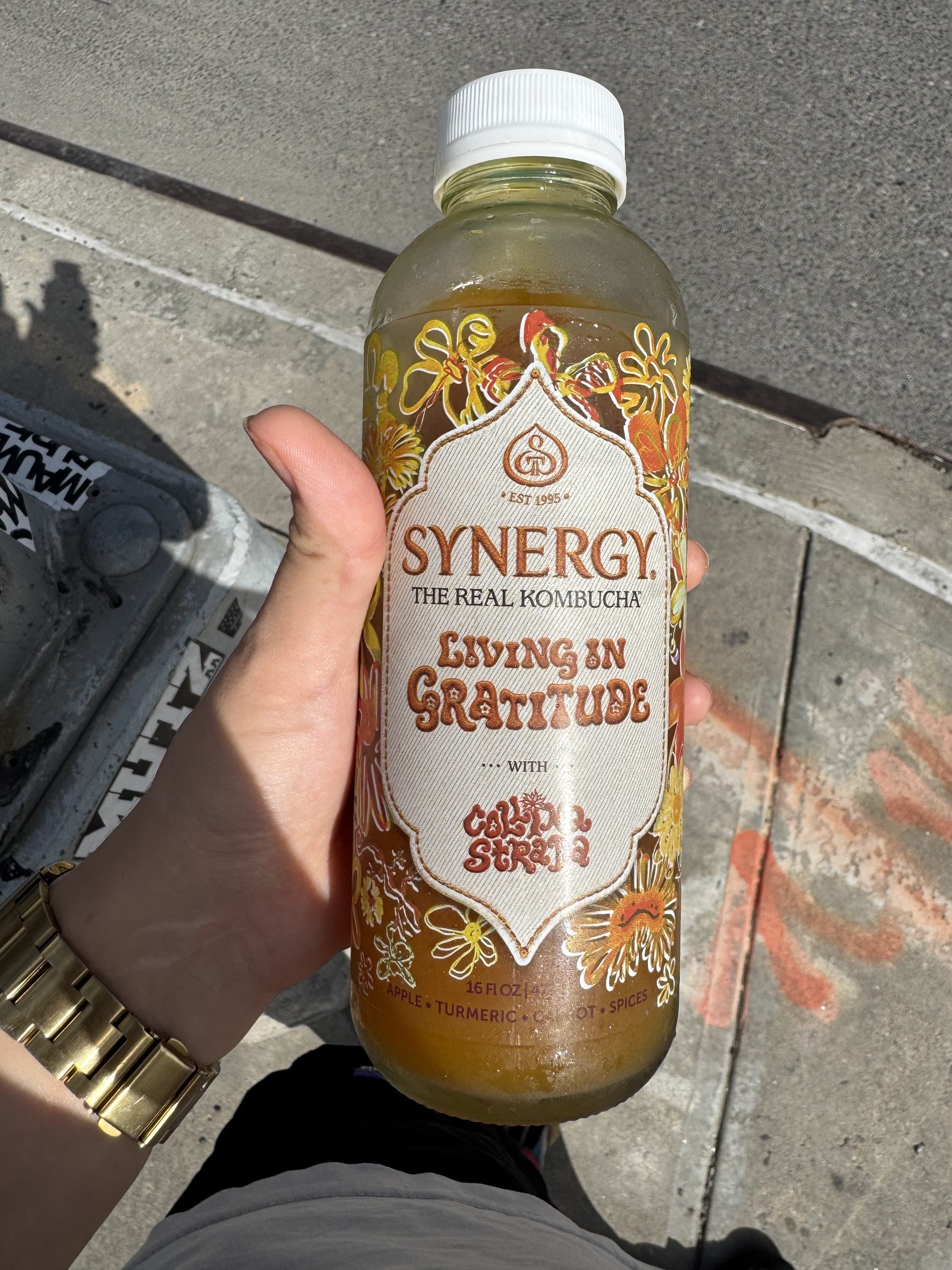 Synergy Living in Gratitude Kombucha