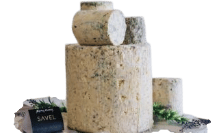 Savel Cheese