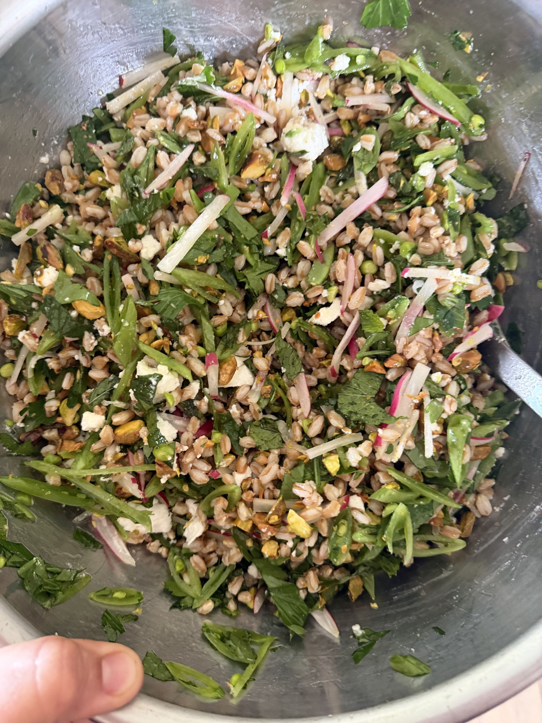 Instant pot everything