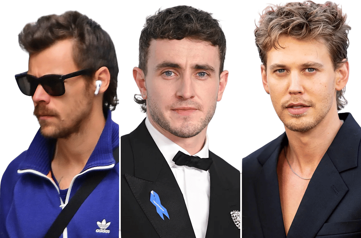 baby mullet superstar: harry v paul v austin