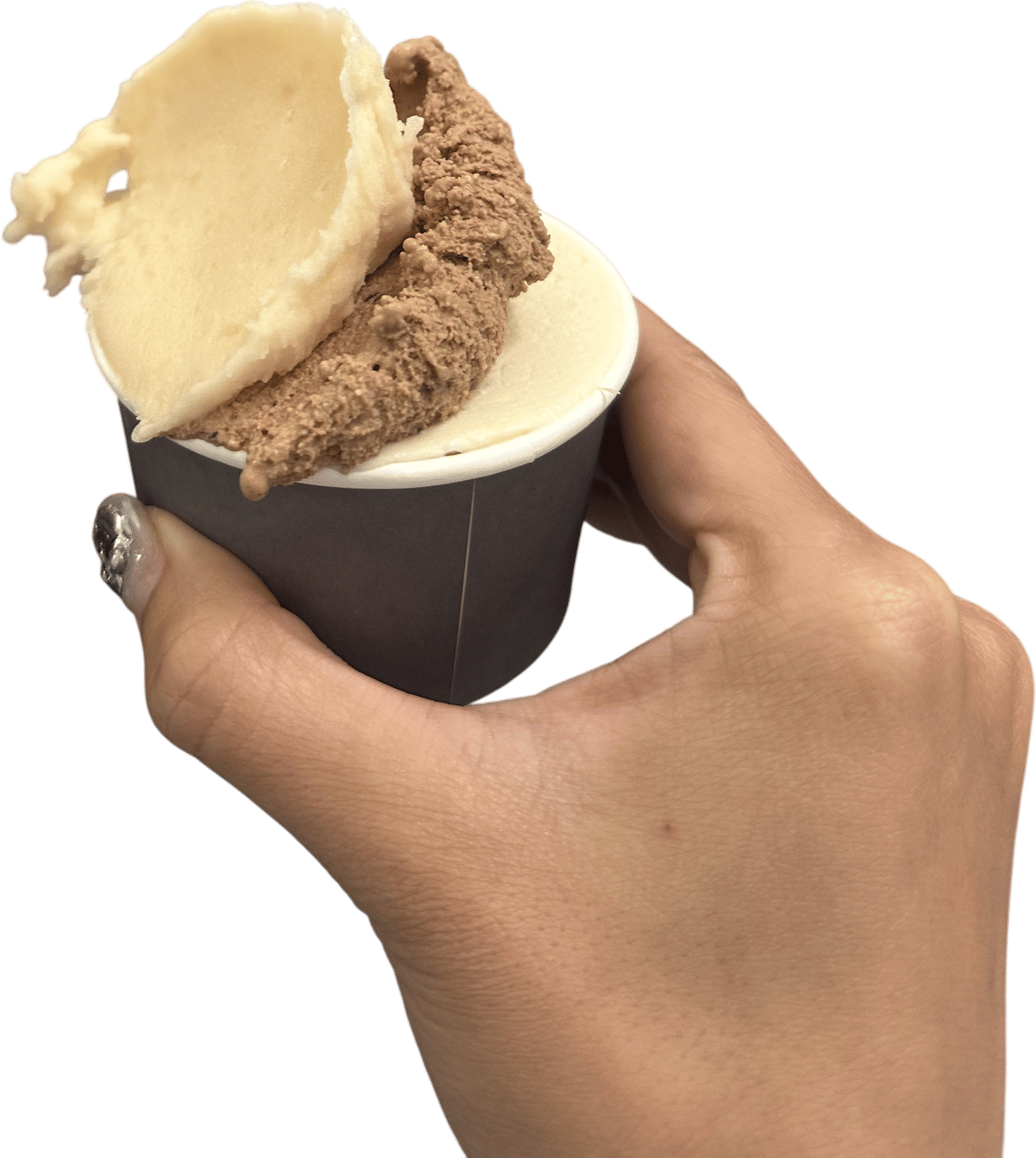 Common Meadows Creamery