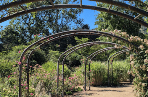 Members-Only Recommendation