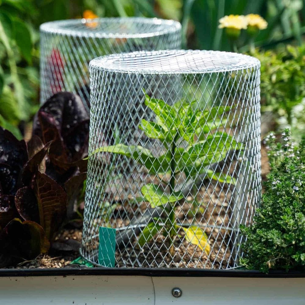 Epic Critter Cage