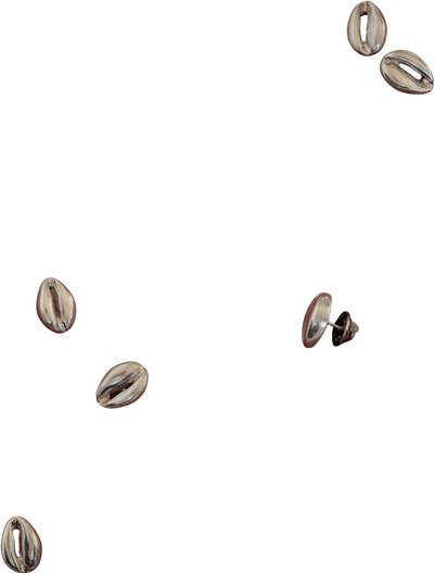 Cowrie Shell Pin