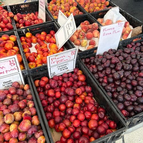 Stone Fruit Season