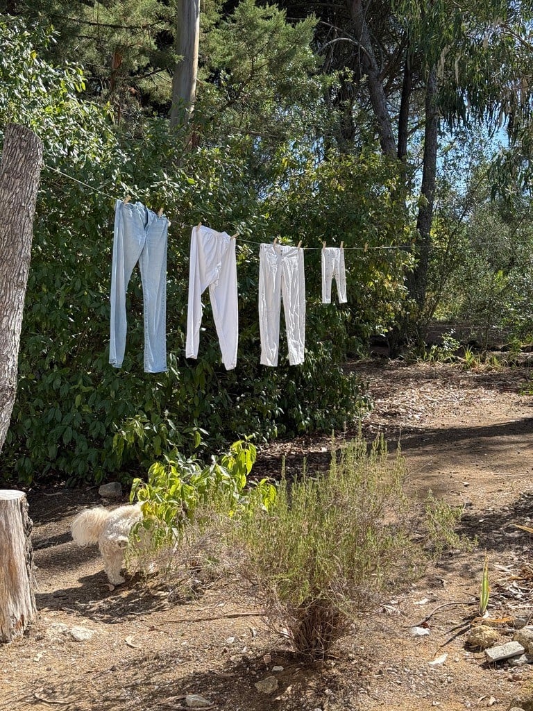 Laundry as an art form