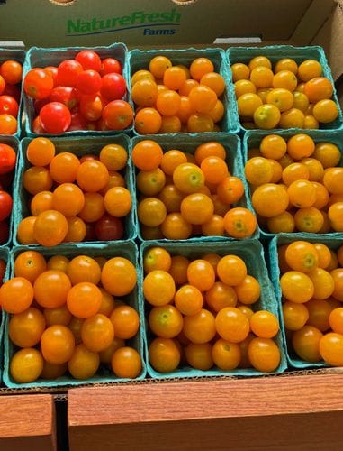 Sun Gold Tomatoes