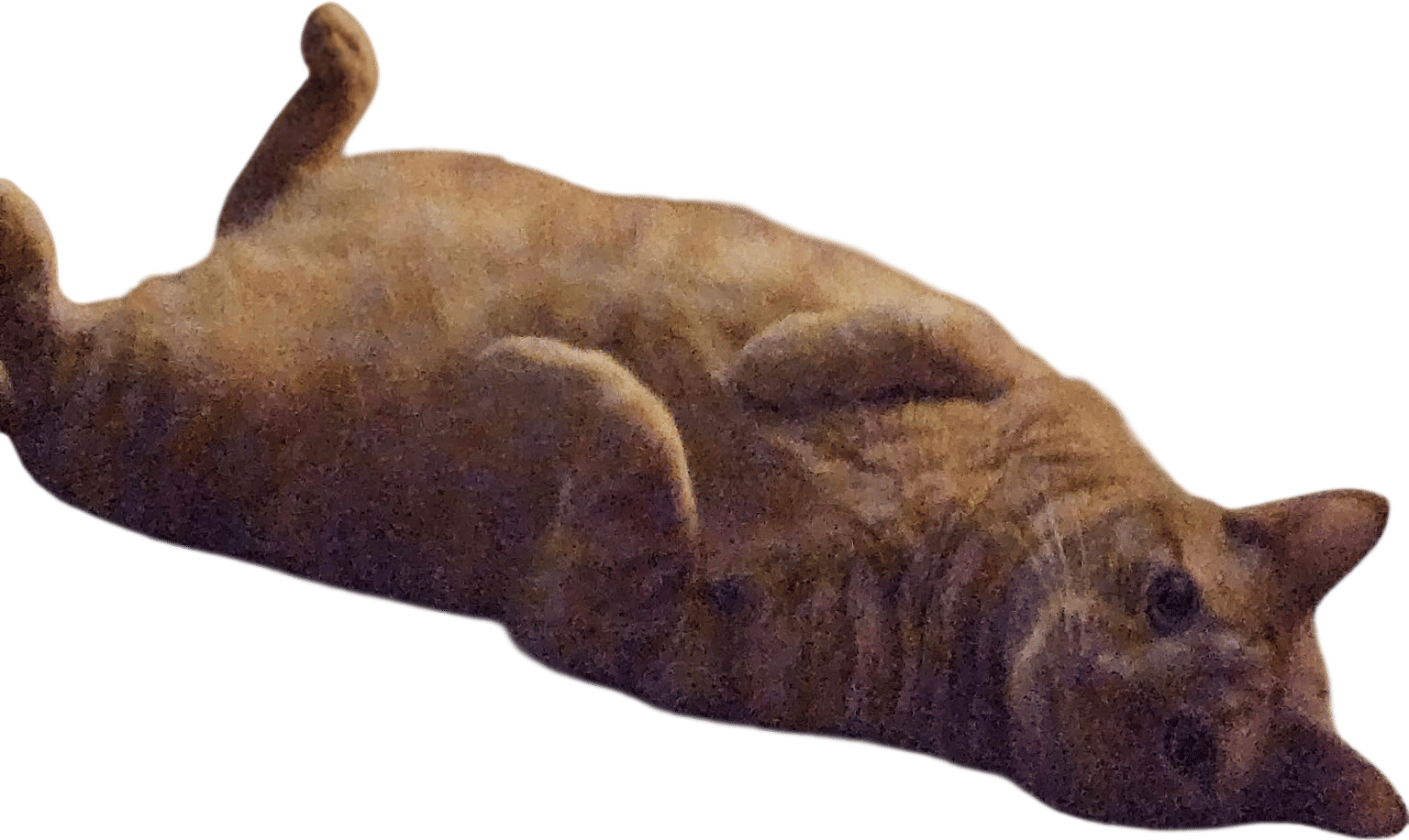 A Night Nap