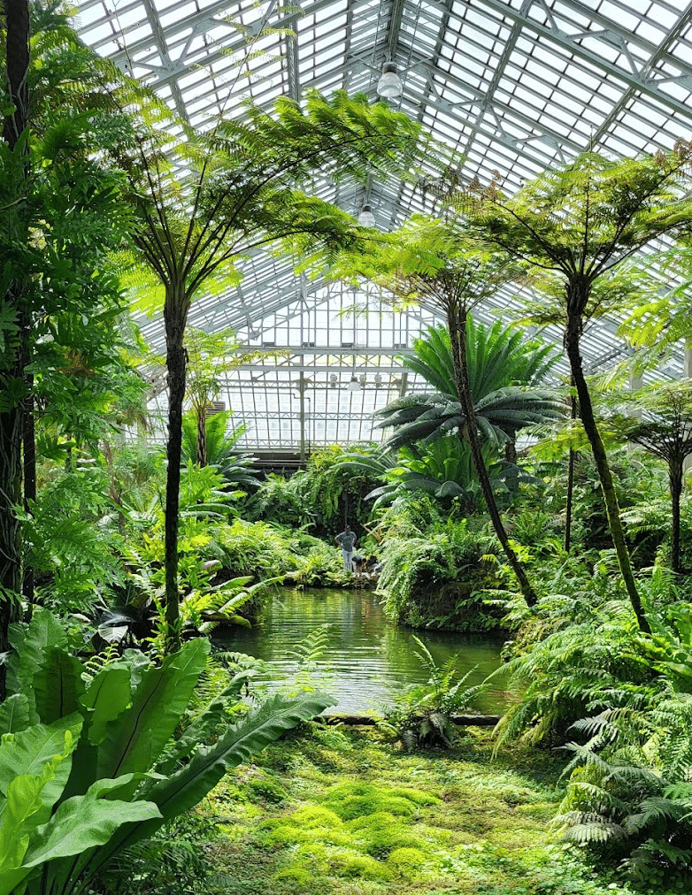 Garfield Park Conservatory