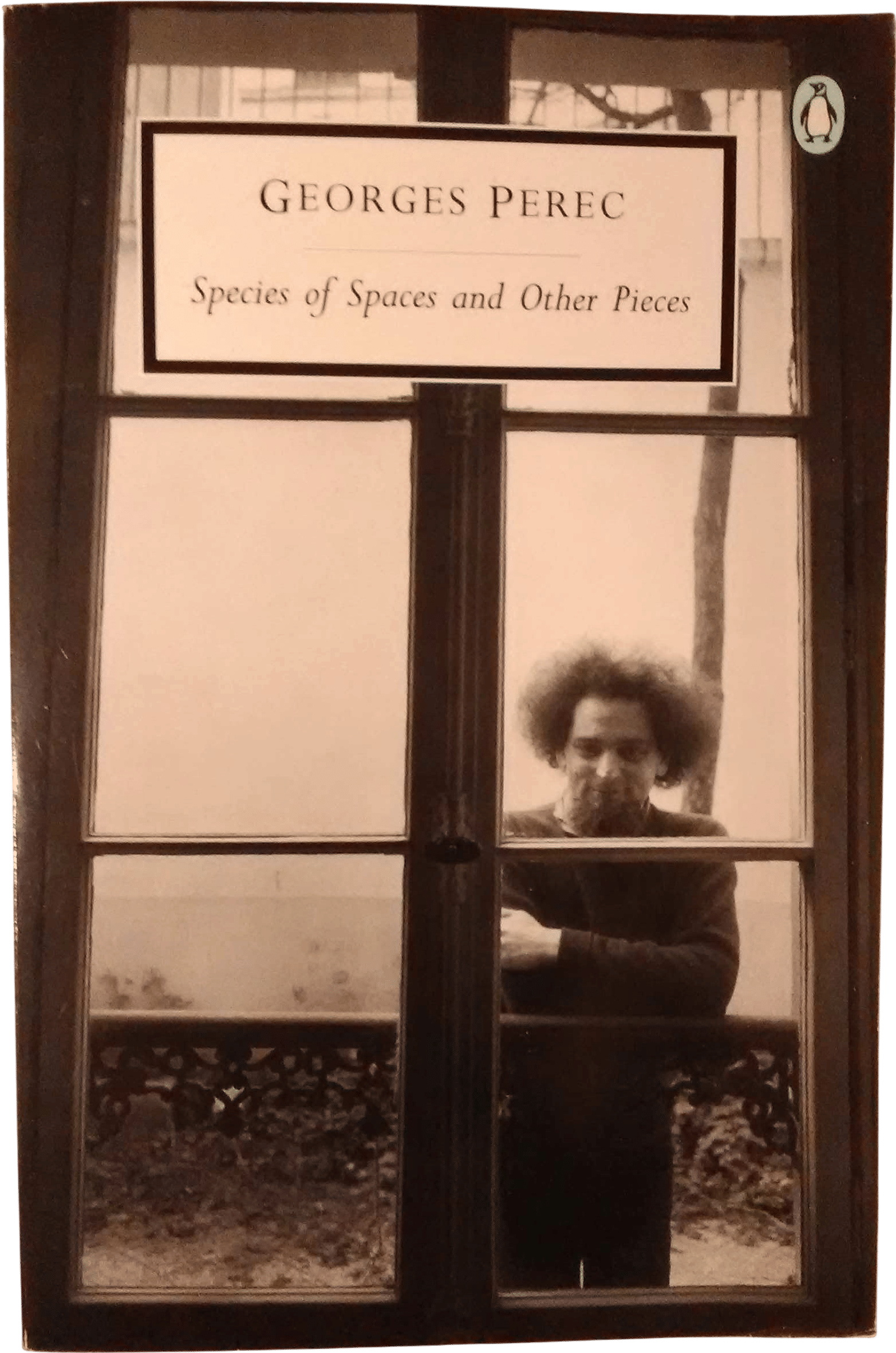 Species of Spaces and Other Pieces by Georges Perec