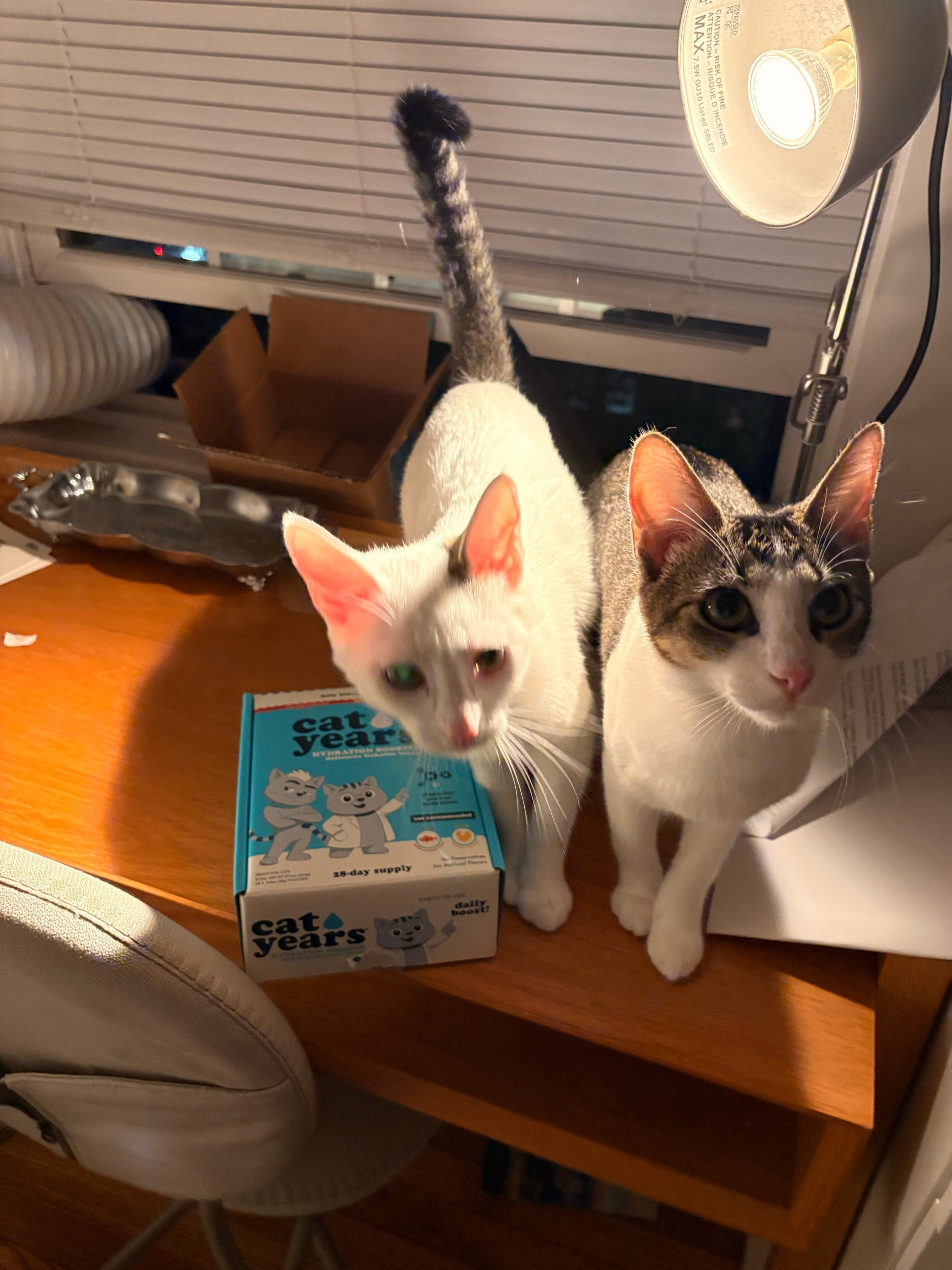Hydration Treats