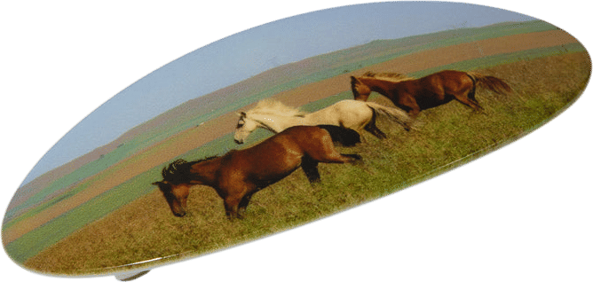 Chunks horse clip