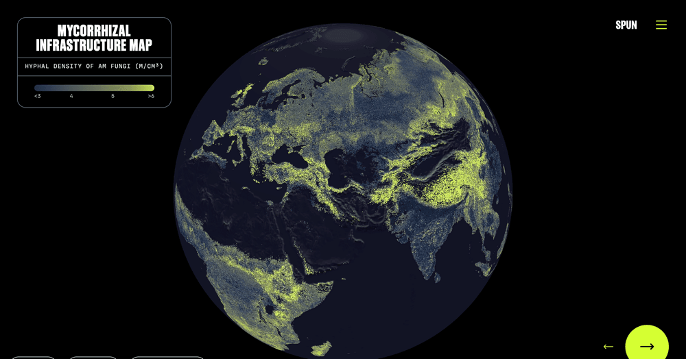Global Network of Fungi Mapped via Wired Mag
