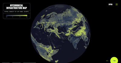 Global Network of Fungi Mapped