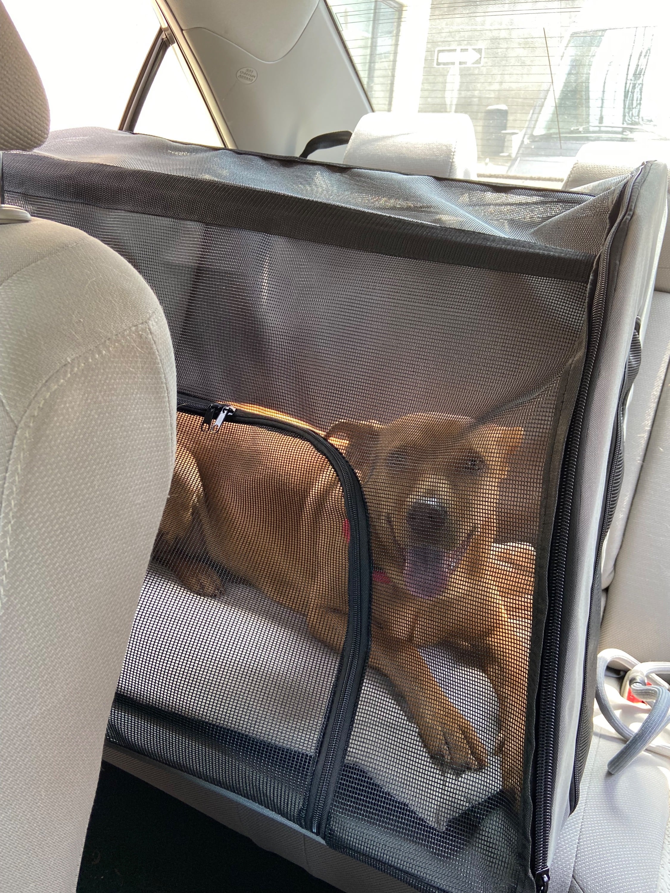 Mesh car crate for anxious dogs