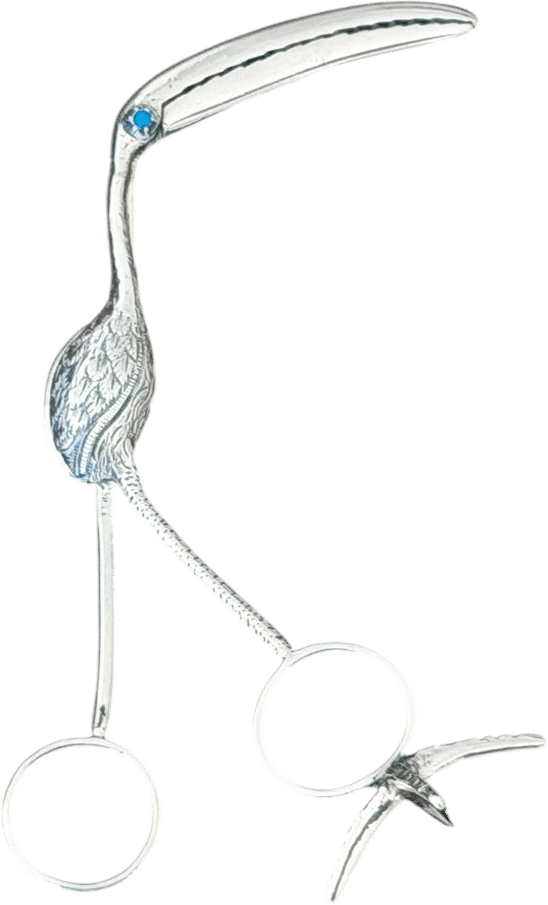 Antique George Unite Silver Flamingo Tongs