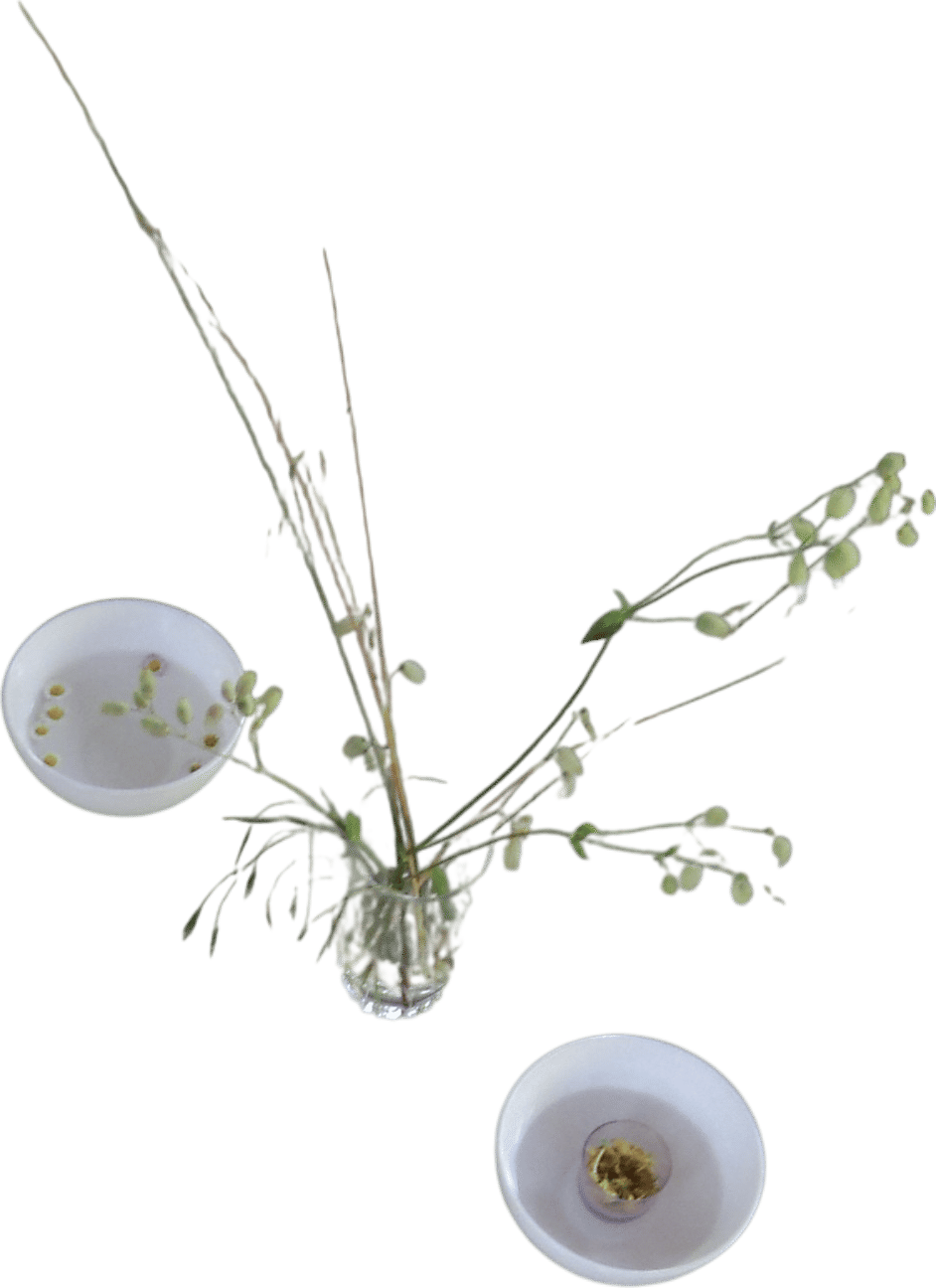 Ambient Abracadabra w/ Sofie Birch