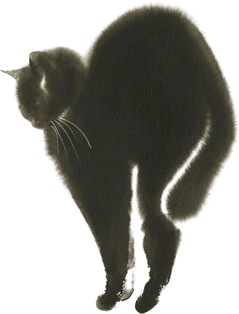 Morning Stretch (Endre Penovác)