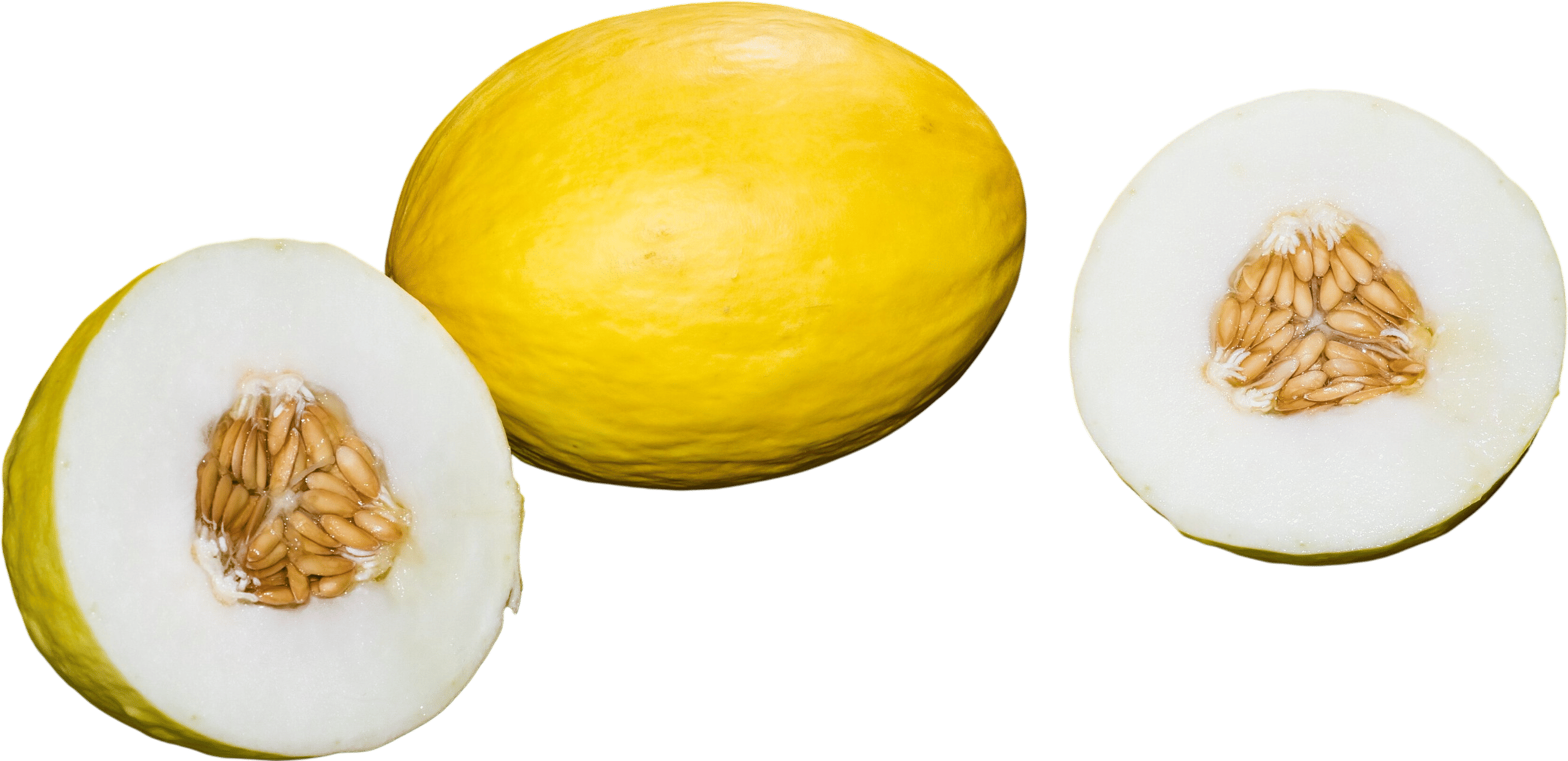 Canary melon