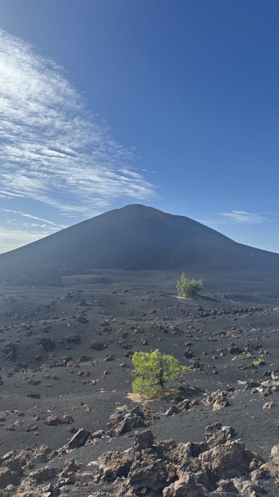 Chinyero Volcano Loop Trail