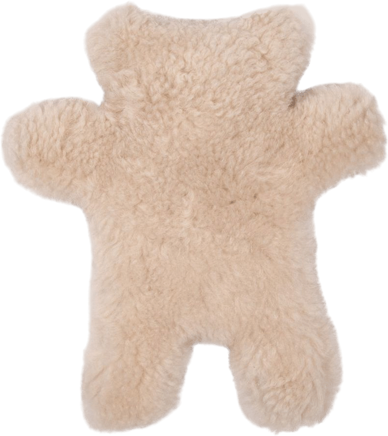 Teddy hot water bottle