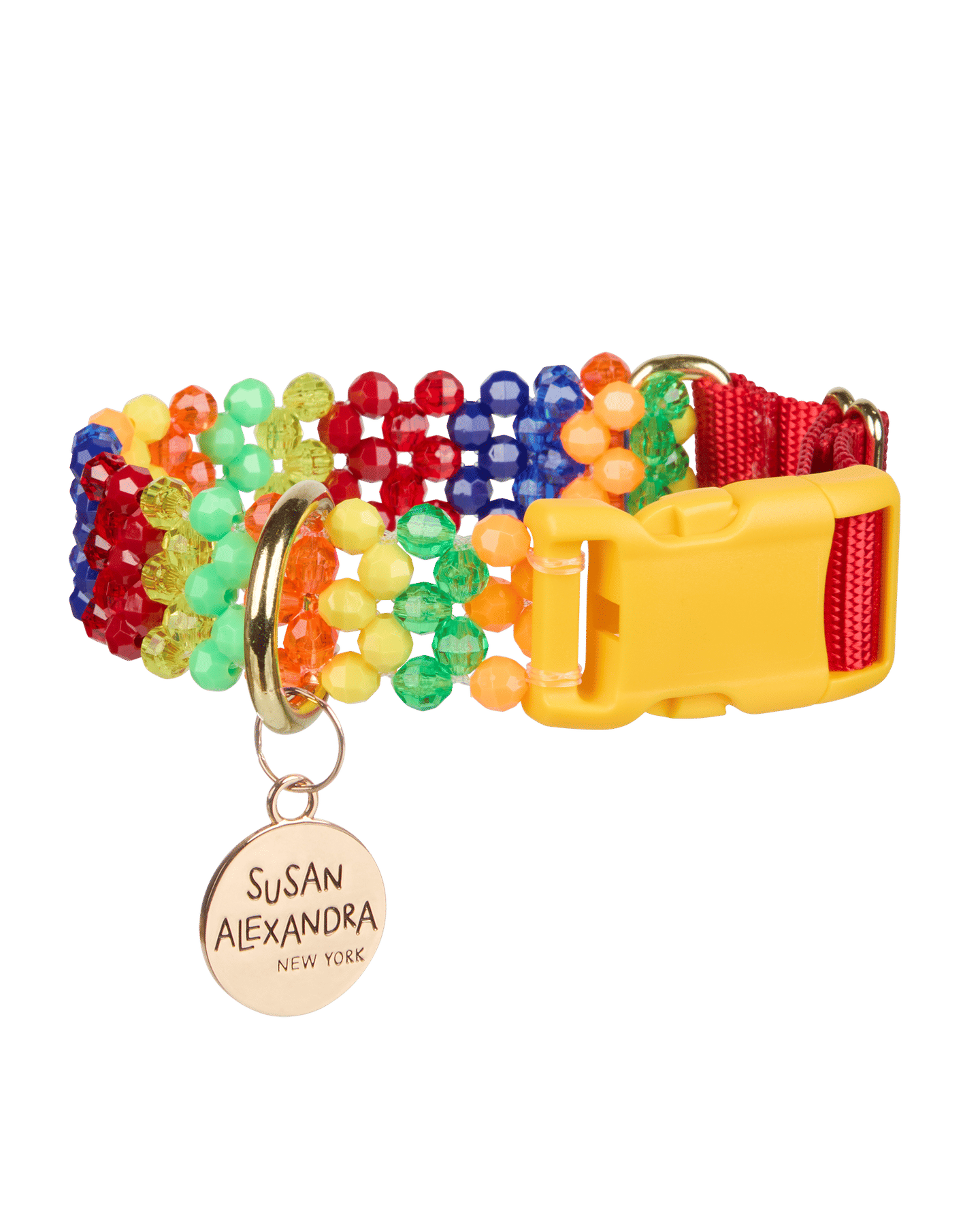 Playdate Dog Collar