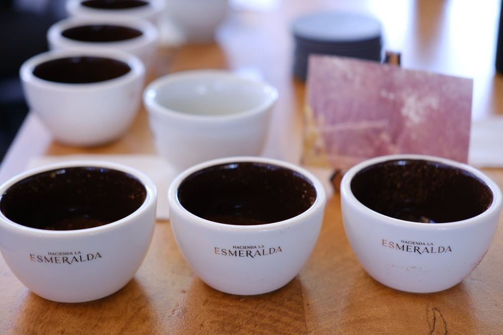 Coffee Beans from Picolot