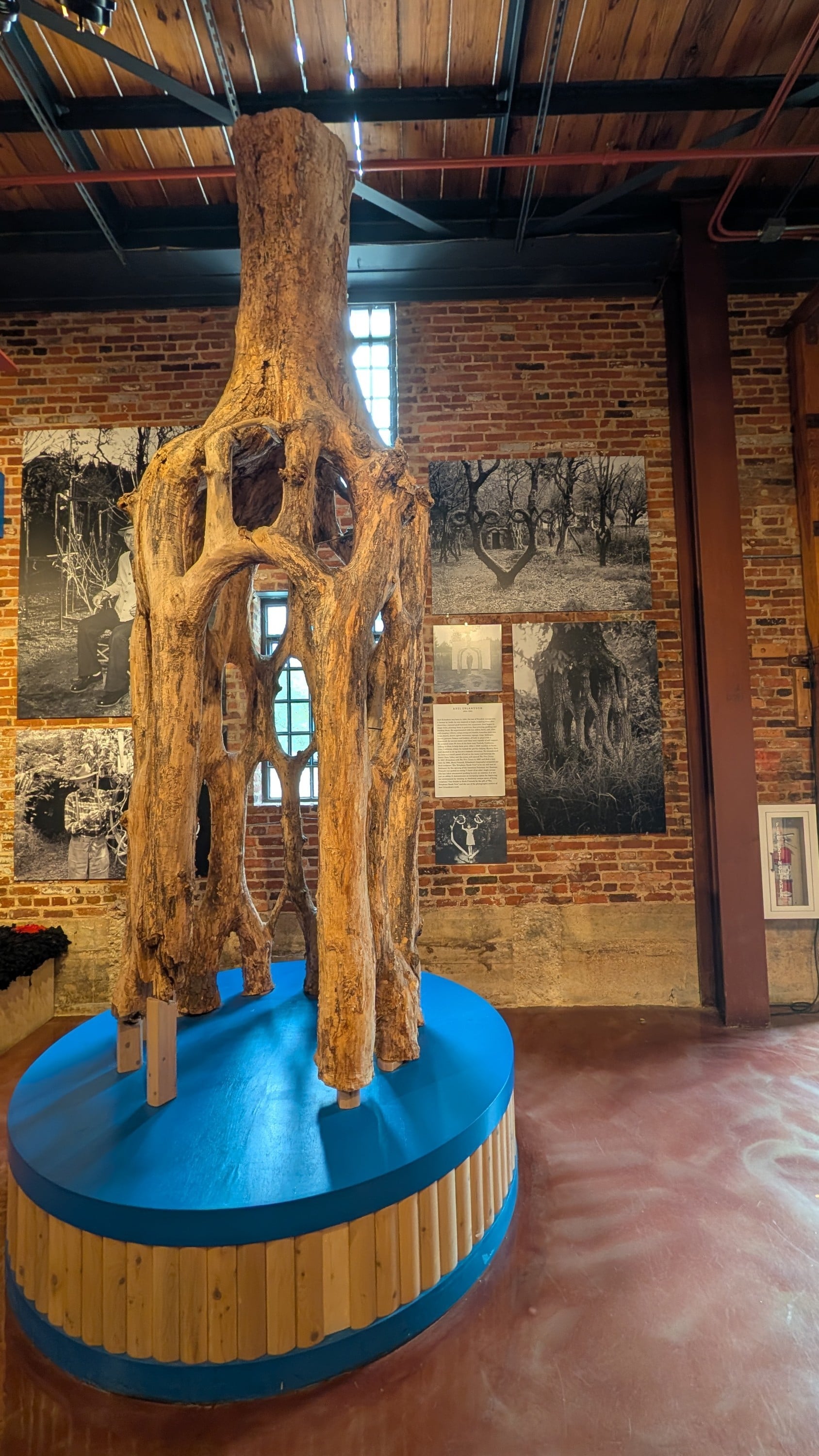 American Visionary Arts Museum