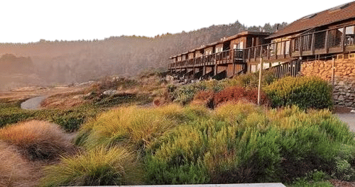Timber Cove Resort