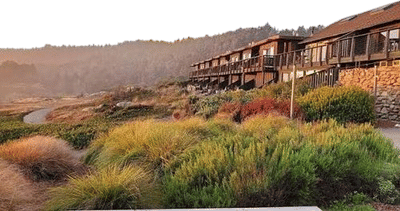 Timber Cove Resort