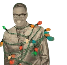 TRU-TONE S14 Vintage Style Light Bulbs