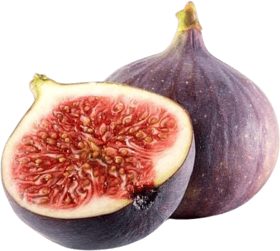fig perfume note