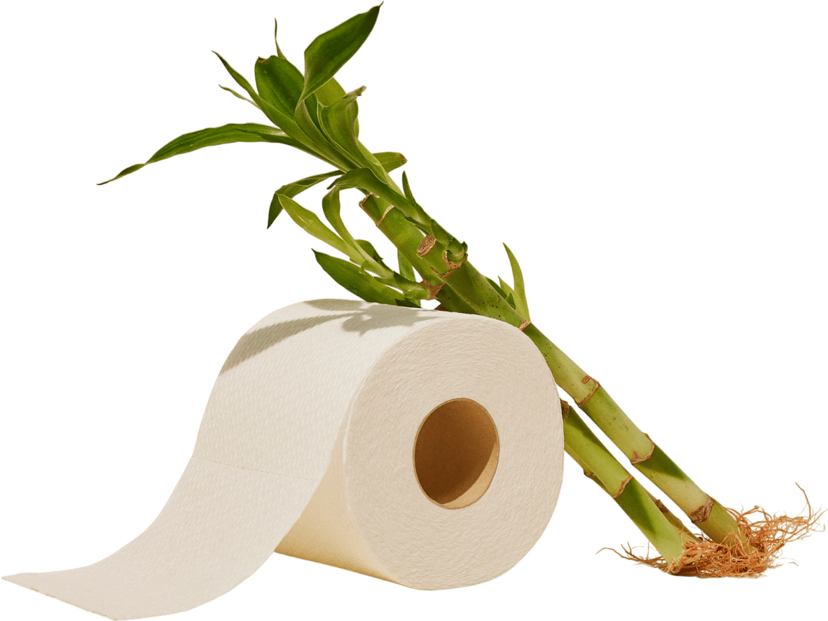 Reel Toilet Paper
