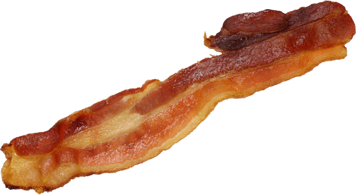(Do not [ever]) chew bacon gum