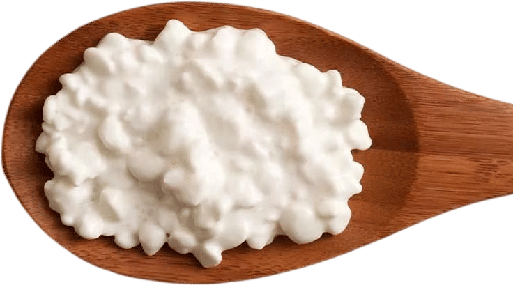 a spoonful of cottage cheese