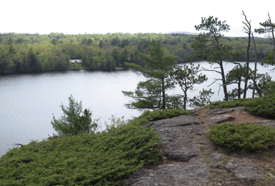 Fernald's Neck Preserve