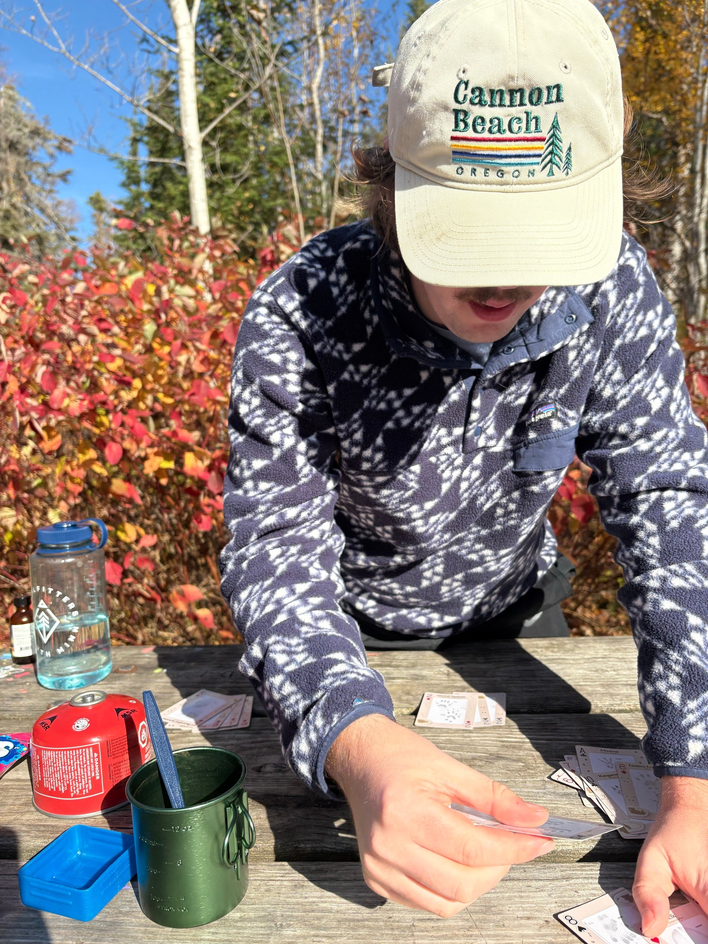 Temperance River camping