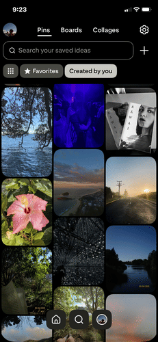 Posting photos on Pinterest (even if nobody sees it)