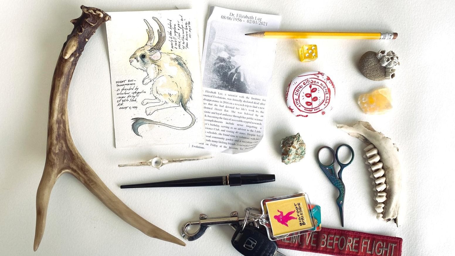 field guide to memory