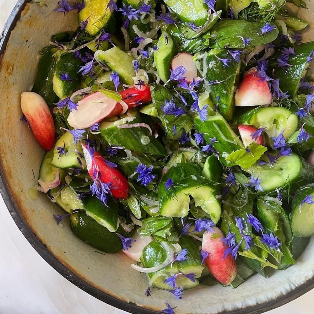 Herby Cucumber Radish Salad Recipe