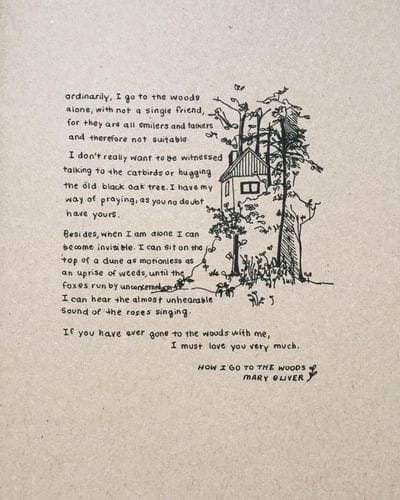 How I Go to the Woods by Mary Oliver