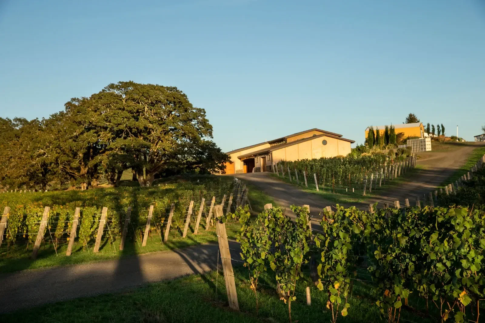 J. Christopher Winery