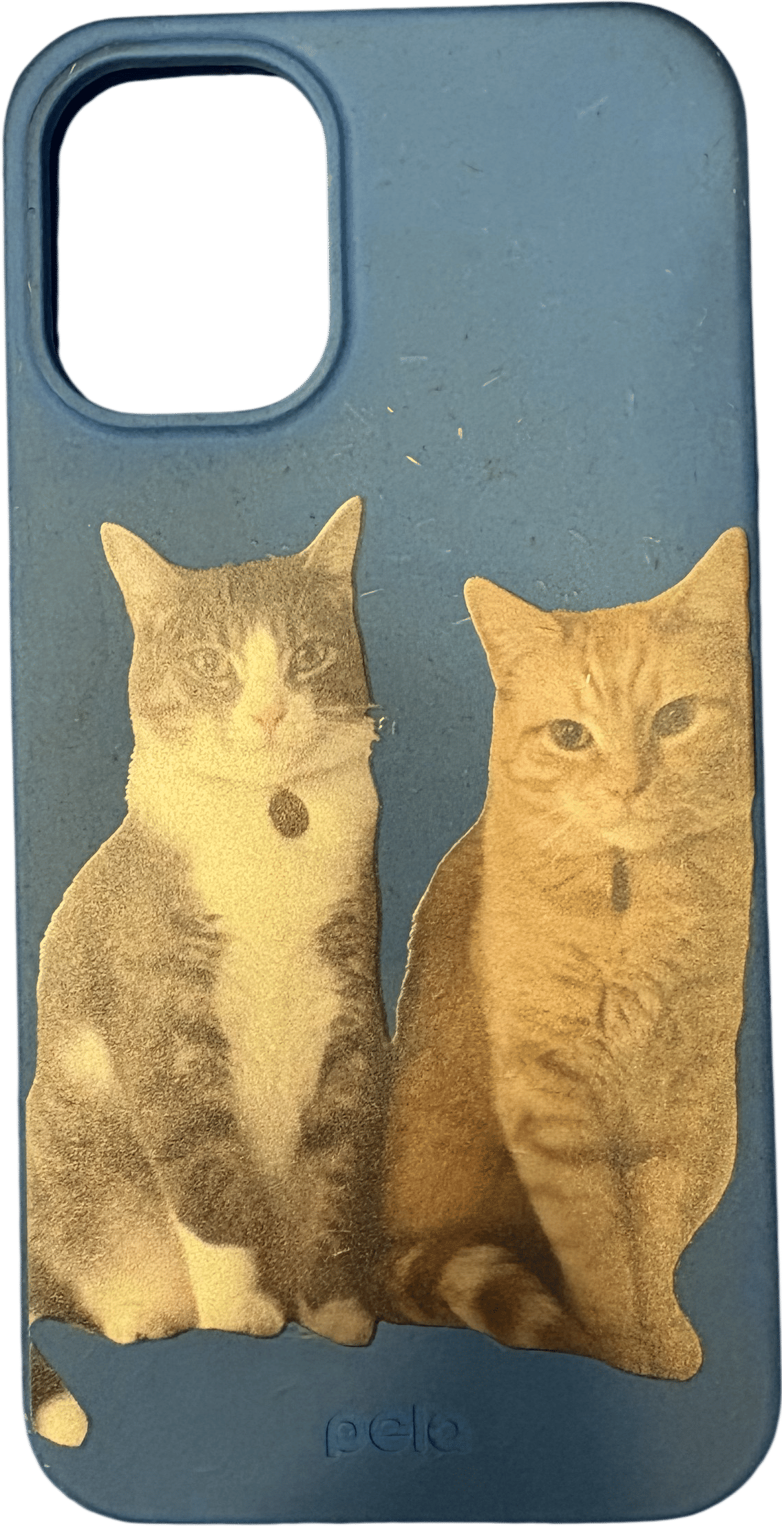 a custom phone case with your cats on it
