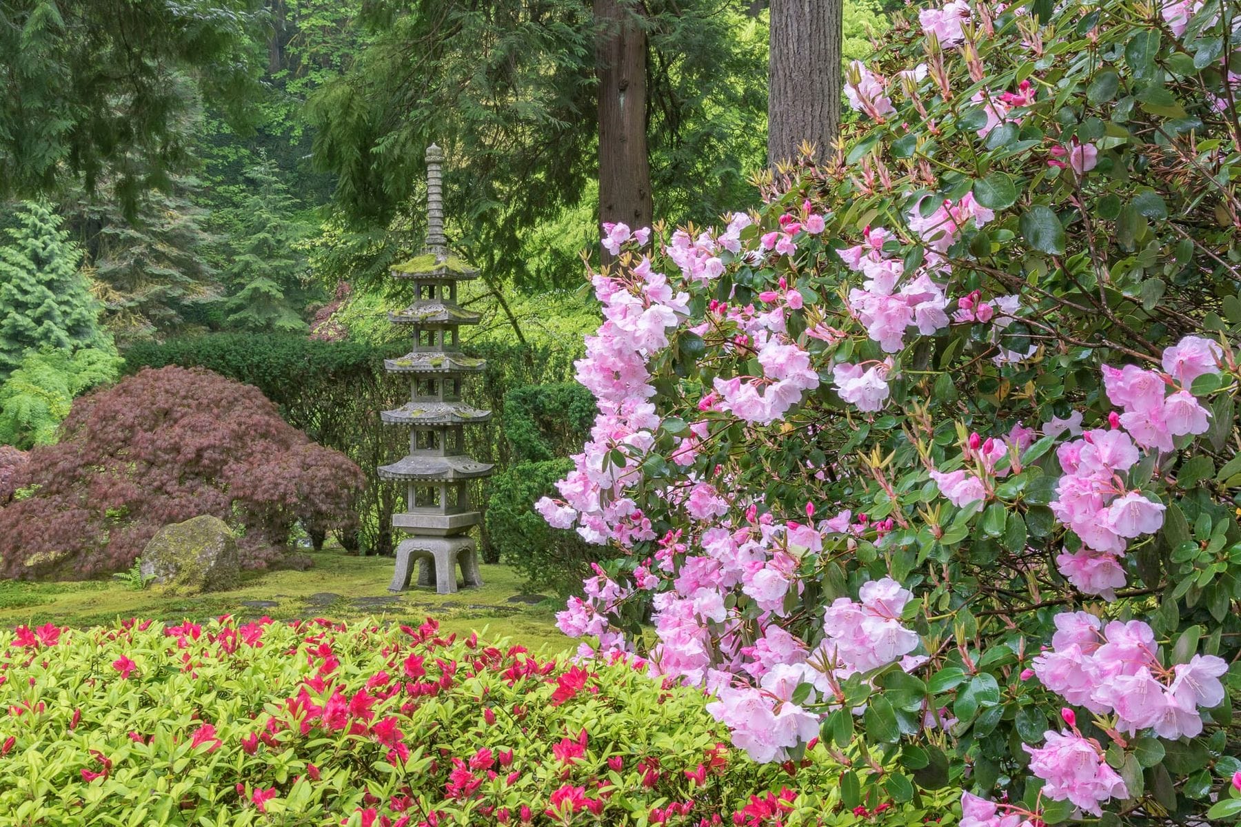 portland japanese garden