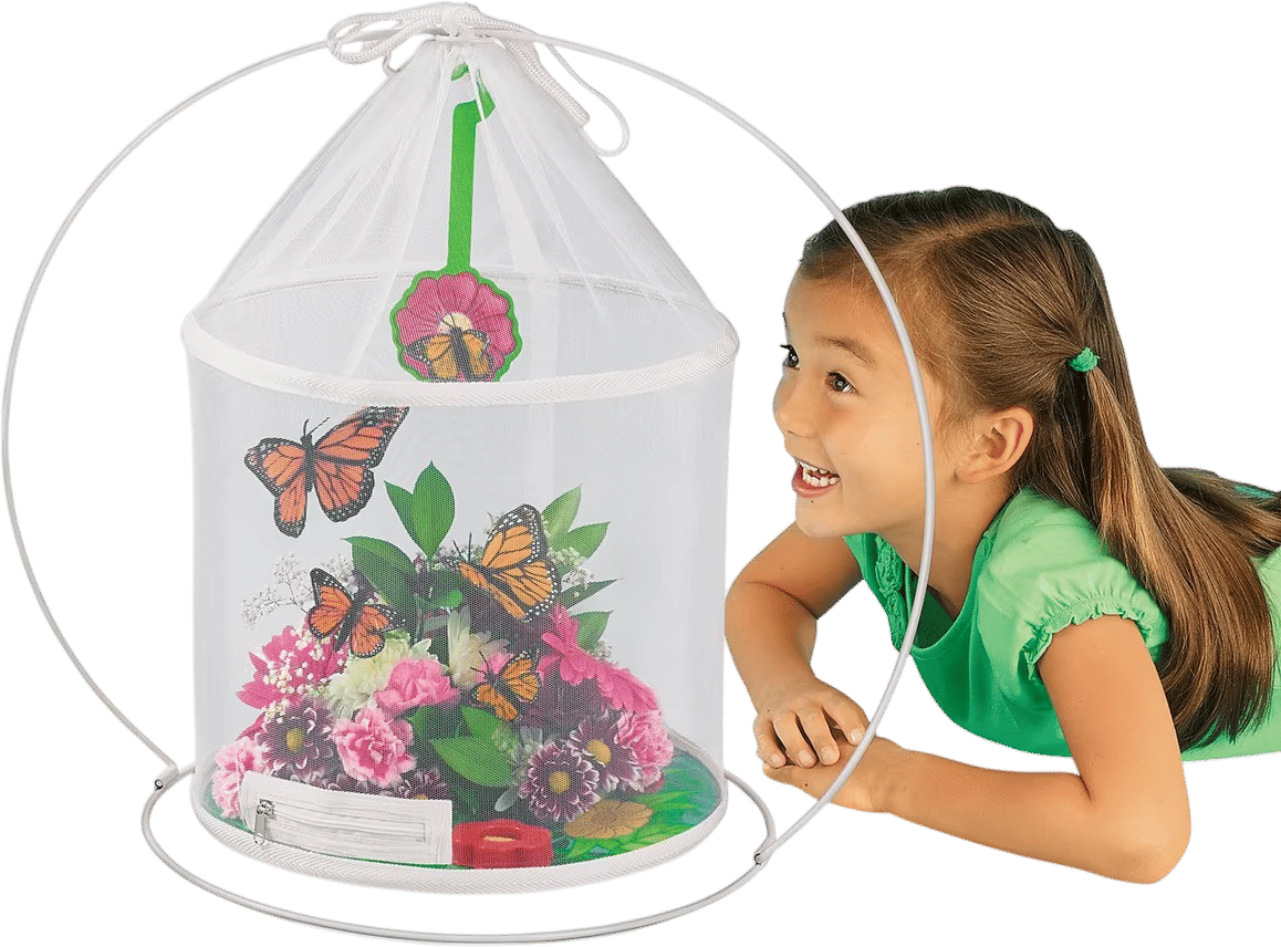 The Butterfly Nursery