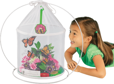 The Butterfly Nursery