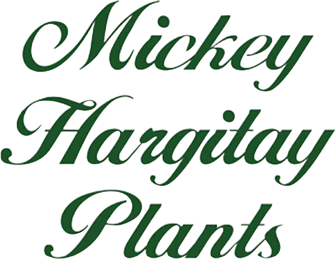 Mickey Hargitay Plants